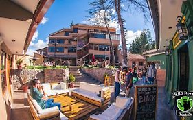 Wild Rover Hostel Cusco